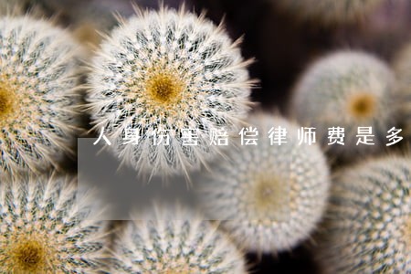 人身伤害赔偿律师费是多少 人身伤害赔偿律师费是多少