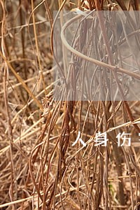 人身伤害赔偿的诉讼费 人身伤害赔偿的诉讼费