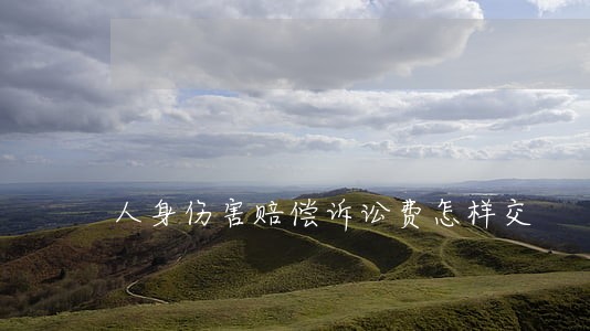 人身伤害赔偿诉讼费怎样交 人身伤害赔偿诉讼费怎样交