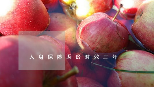 人身保险诉讼时效三年 人身保险诉讼时效三年