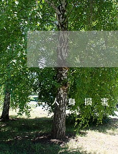 人身损害司法鉴定咨询接待处