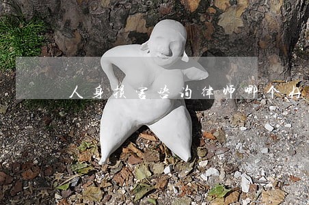 人身损害咨询律师哪个好 人身损害咨询律师哪个好