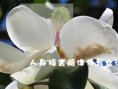 人身损害赔律师专业律师团队