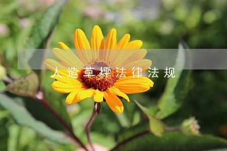人造草坪法律法规 人造草坪法律法规