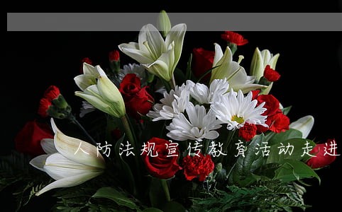人防法规宣传教育活动走进社区 人防法规宣传教育活动走进社区