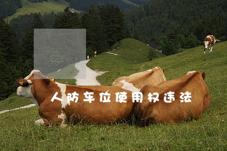 人防车位使用权违法 人防车位使用权违法