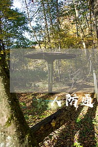 人防通信法律法规