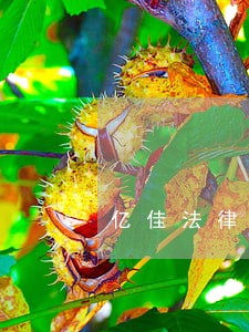 亿佳法律咨询 亿佳法律咨询