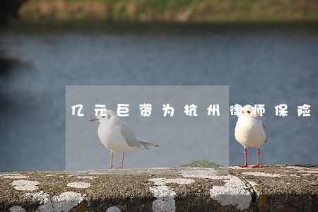 亿元巨资为杭州律师保险 亿元巨资为杭州律师保险