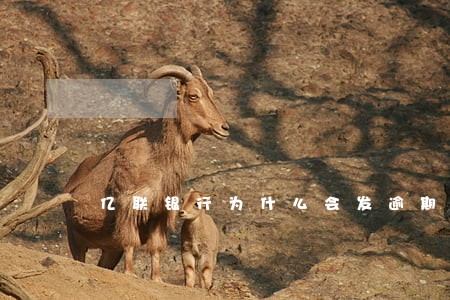 亿联银行为什么会发逾期短信 亿联银行为什么会发逾期短信