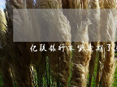 亿联银行车贷逾期了怎么办 亿联银行车贷逾期了怎么办
