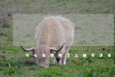什么东西吃了上瘾不违法 什么东西吃了上瘾不违法