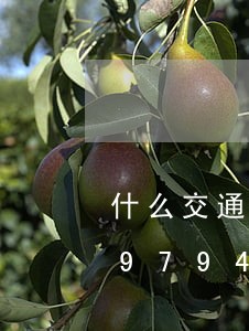什么交通违法拘留三天/2023012697944 什么交通违法拘留三天/2023012697944