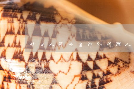 什么人可以当诉讼代理人 什么人可以当诉讼代理人