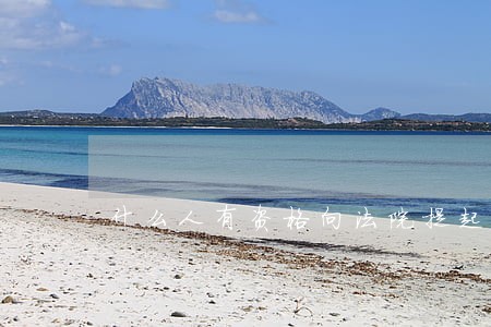 什么人有资格向法院提起诉讼
