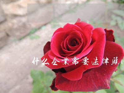 什么企业需要法律顾问 什么企业需要法律顾问