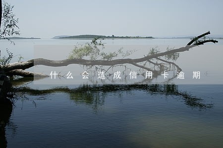 什么会造成信用卡逾期