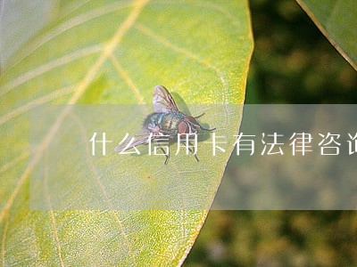 什么信用卡有法律咨询 什么信用卡有法律咨询