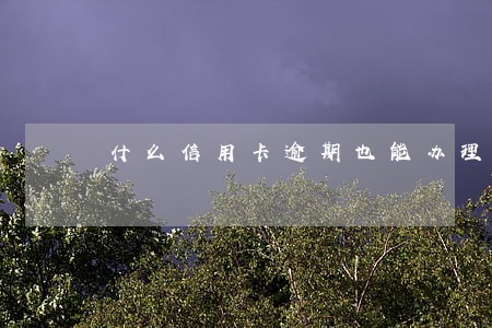 什么信用卡逾期也能办理