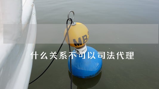 什么关系不可以司法代理