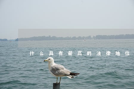 什么具有最高的法律地位和法律效力 什么具有最高的法律地位和法律效力