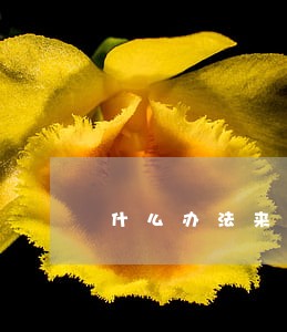 什么办法来钱快还不违法 什么办法来钱快还不违法