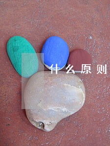 什么原则仲裁和诉讼程序 什么原则仲裁和诉讼程序