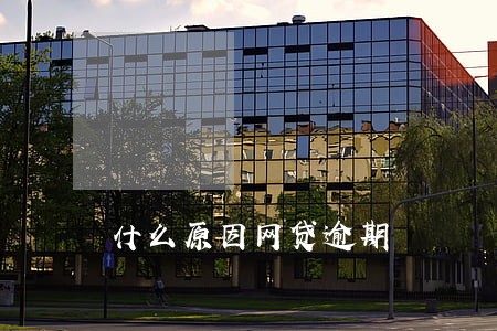 什么原因网贷逾期 什么原因网贷逾期