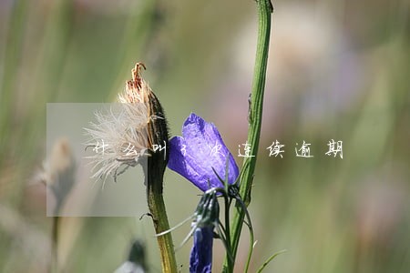 什么叫3次连续逾期 什么叫3次连续逾期