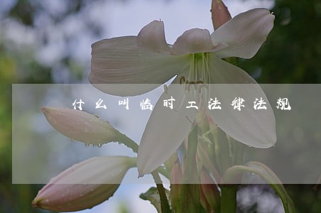 什么叫临时工法律法规