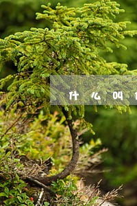 什么叫信用卡逾期会坐牢吗 什么叫信用卡逾期会坐牢吗