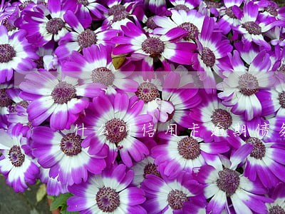 什么叫信用卡逾期债务重组 什么叫信用卡逾期债务重组