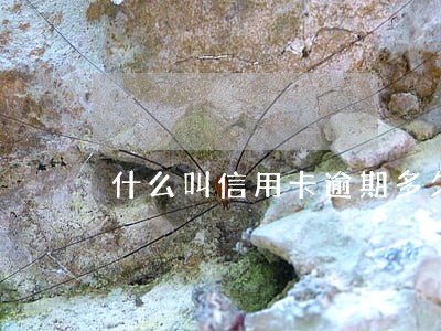 什么叫信用卡逾期多久会上门 什么叫信用卡逾期多久会上门