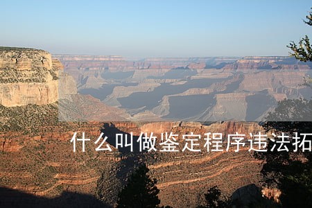 什么叫做鉴定程序违法拓展阅读 什么叫做鉴定程序违法拓展阅读