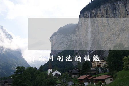 什么叫刑法的技能 什么叫刑法的技能