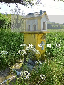什么叫只还本金 什么叫只还本金