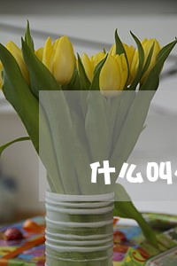 什么叫外部法律顾问 什么叫外部法律顾问