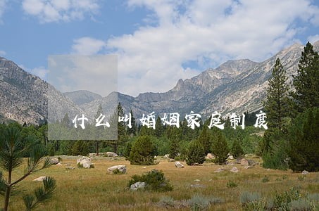 什么叫婚姻家庭制度 什么叫婚姻家庭制度