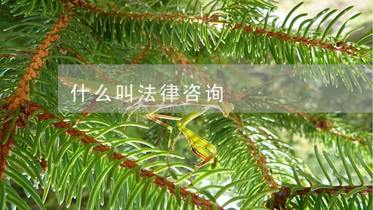 什么叫法律咨询 什么叫法律咨询