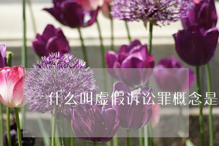 什么叫虚假诉讼罪概念是什么
