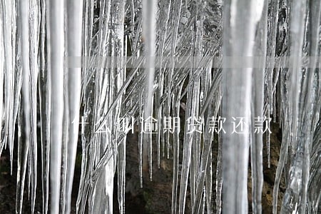 什么叫逾期贷款还款 什么叫逾期贷款还款