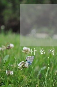 什么叫逾期超过30日 什么叫逾期超过30日