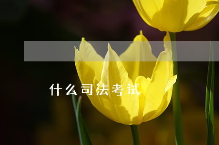 什么司法考试 什么司法考试