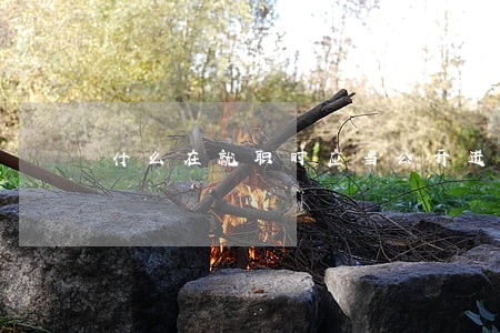 什么在就职时应当公开进行宪法宣誓 什么在就职时应当公开进行宪法宣誓