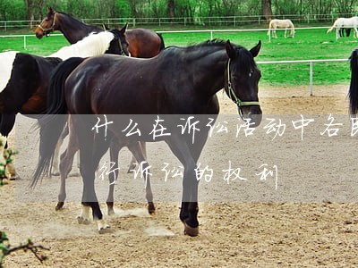 什么在诉讼活动中各民族公民都有用什么进行诉讼的权利 什么在诉讼活动中各民族公民都有用什么进行诉讼的权利