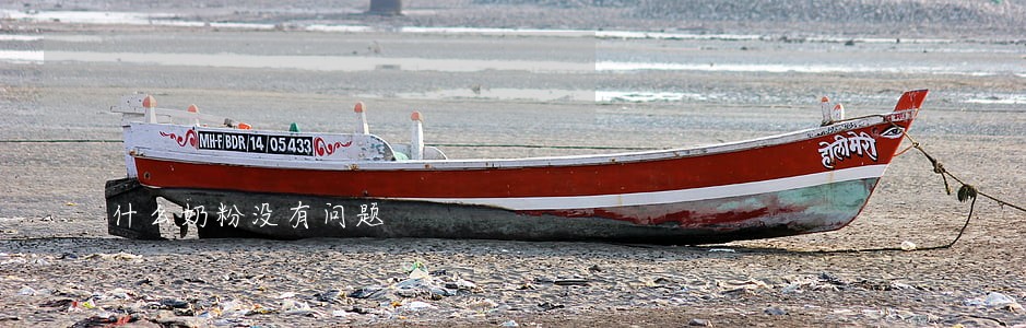 什么奶粉没有问题 什么奶粉没有问题