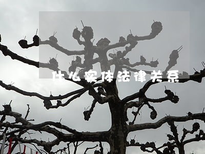 什么实体法律关系 什么实体法律关系