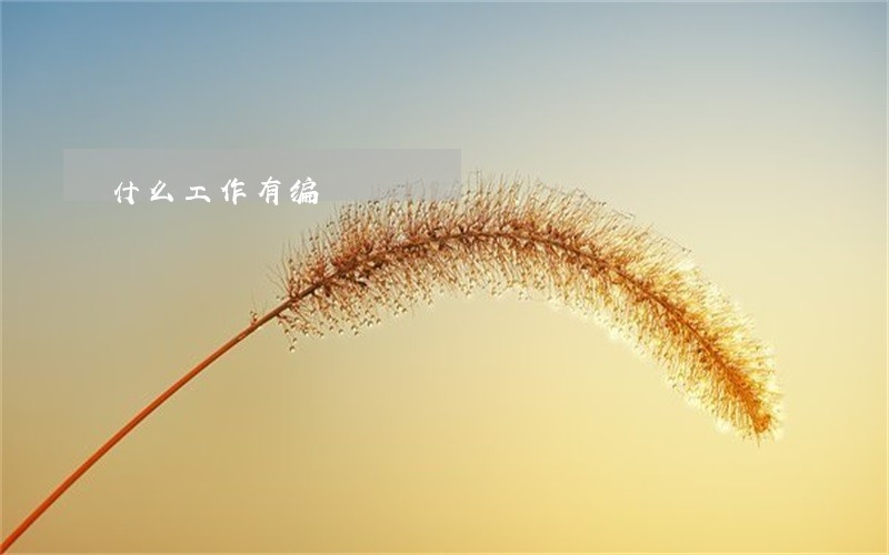 什么工作有编