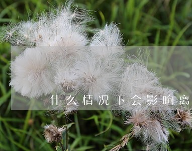 什么情况下会影响离婚 什么情况下会影响离婚