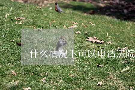 什么情况下可以申请法院重新鉴定 什么情况下可以申请法院重新鉴定